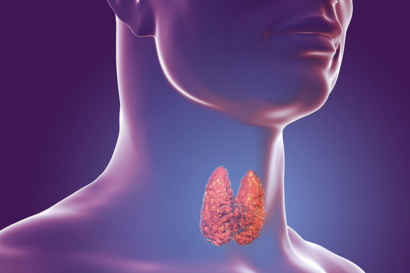 What are the best tests for thyroid function and why?