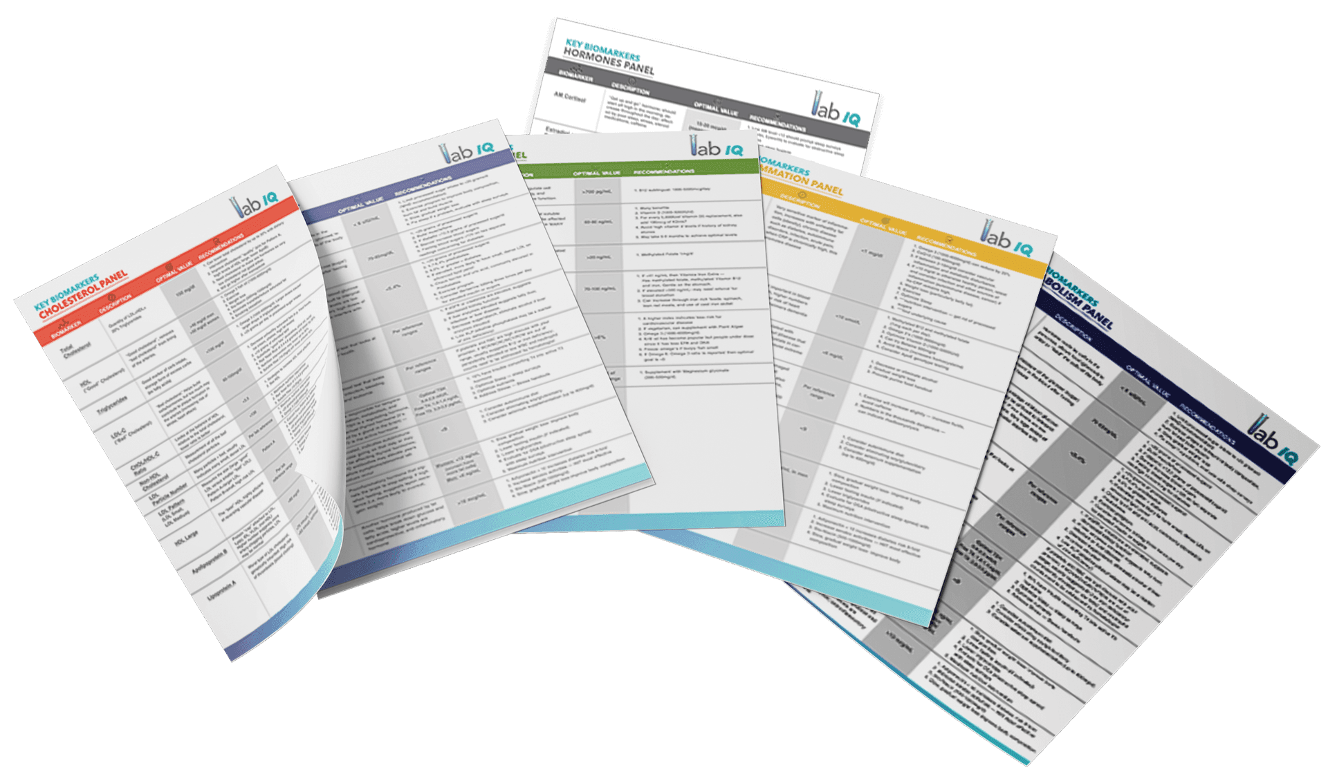 YourLabWork Done-For-You Lab Test Cheat Sheets