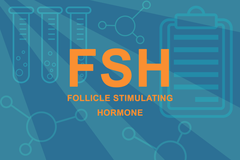 FSH логотип. Тест постоянный ток 8 класс